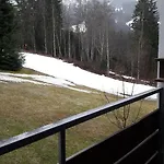 Berghof 11 公寓 *