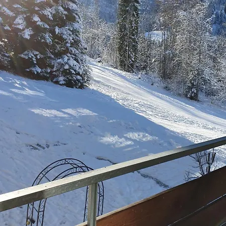 公寓 Berghof 11 埃尔毛