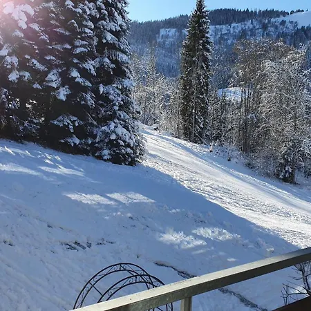 Apartment Berghof 11