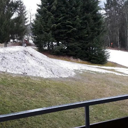 Apartment Berghof 11 Ellmau