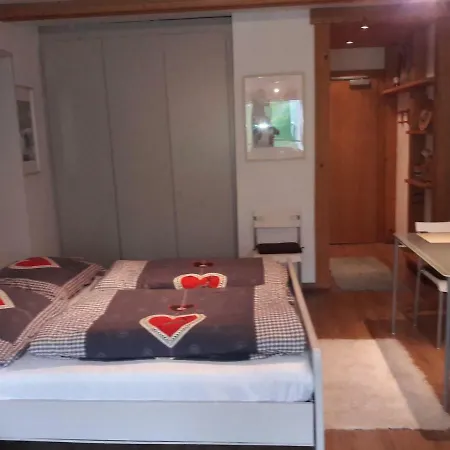Berghof 11 Apartment