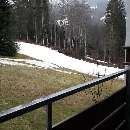 Berghof 11 アパート *